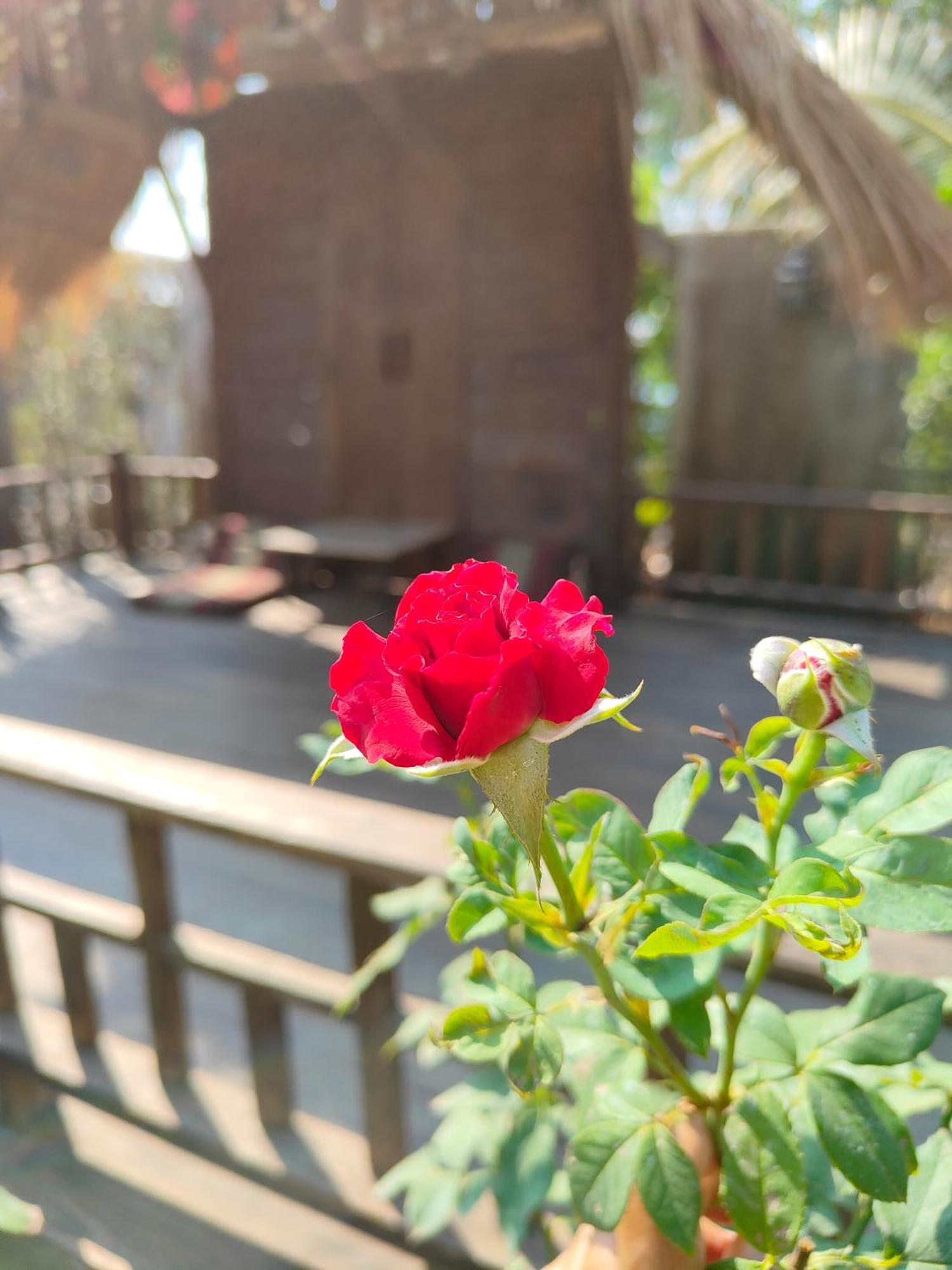 Smilingface Guesthouse Сукотай Екстериор снимка