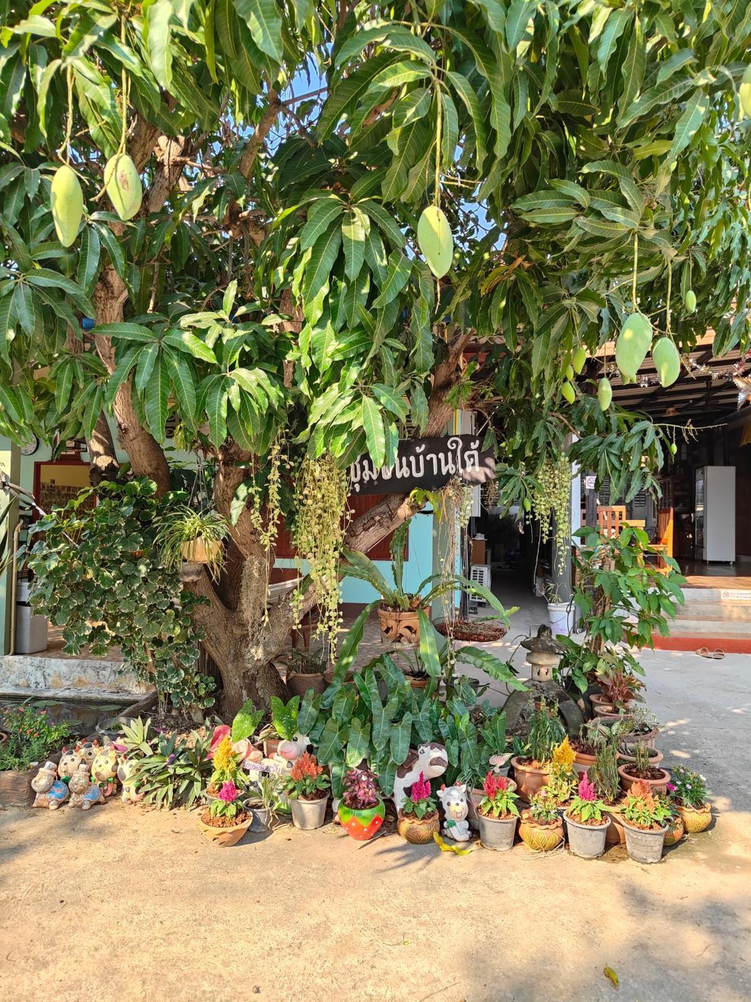 Smilingface Guesthouse Сукотай Екстериор снимка